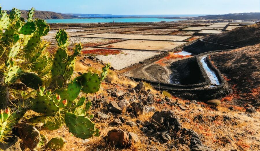 Lanzarote: Volcanos of Timanfaya and Caves Tour with Lunch - Key Things I’d Circle Before You Go