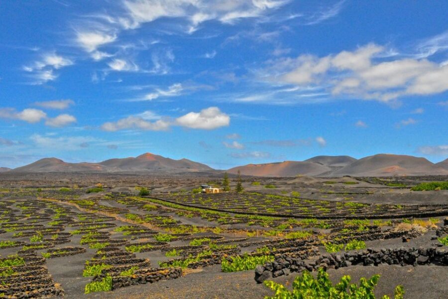 Lanzarote: Volcanos of Timanfaya and Caves Tour with Lunch - The Big Picture: A North-to-South Lanzarote Day You Can Do Without a Car