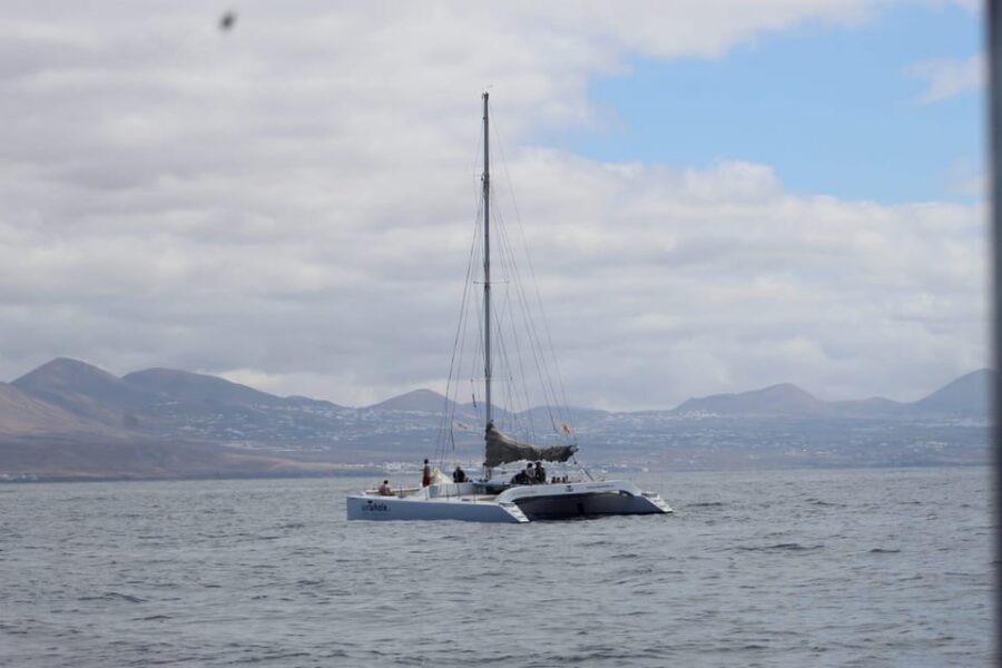 Lanzarote: Whale and Dolphin Watching Eco-Friendly Catamaran - Key things I’d mark on your map before you go
