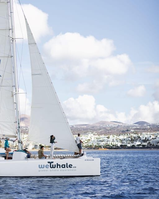 Lanzarote: Whale and Dolphin Watching Eco-Friendly Catamaran - What happens during the 4-hour outing at sea