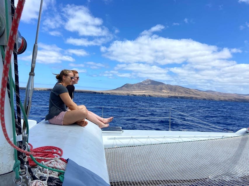 Lanzarote: Whale and Dolphin Watching Eco-Friendly Catamaran - Spotting dolphins, and what the best sightings tend to feel like