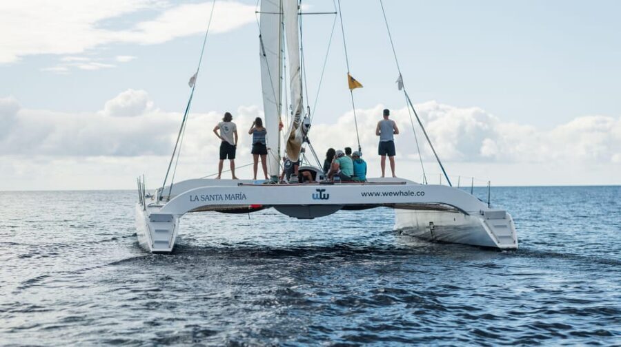 Lanzarote: Whale and Dolphin Watching Eco-Friendly Catamaran - Snacks, drinks, and the small comforts that make 4 hours easier