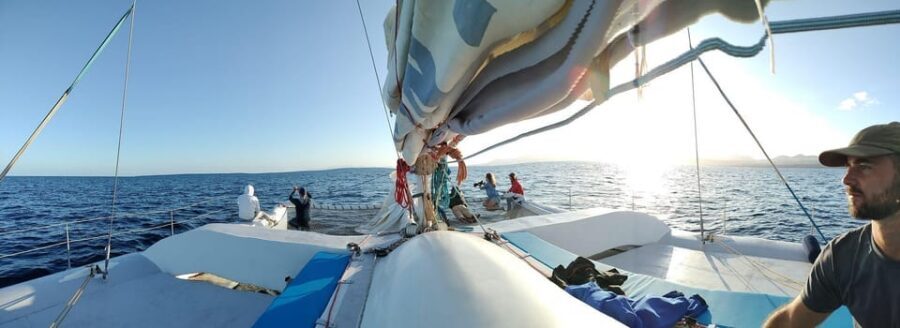 Lanzarote: Whale and Dolphin Watching Eco-Friendly Catamaran - Weather and wildlife odds: when to plan your expectations