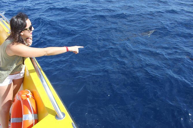 Lobos Island - The dolphin route - Lunch, Drinks, and Dietary Notes: What’s Included and What to Confirm