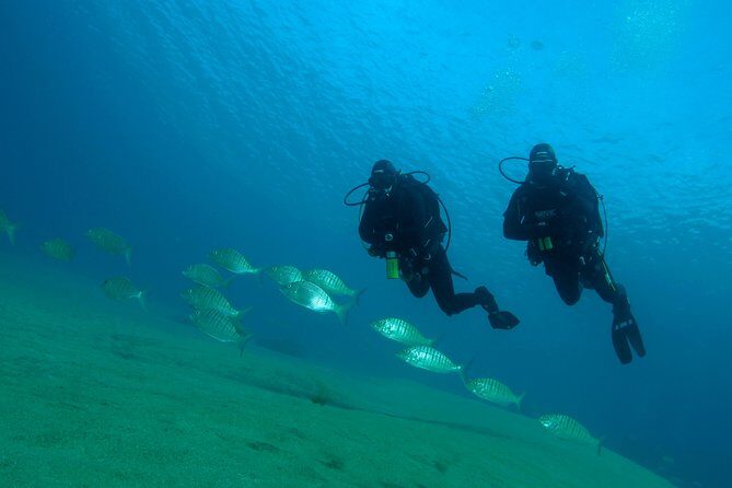 Make a private Try Dive, for your first Scuba experience! - Gear included: you can focus on learning instead of logistics