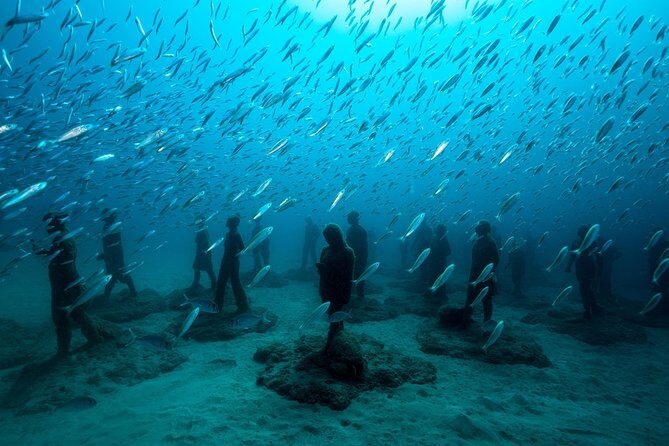 Museo Atlantico for certified divers - About-45-Minute Underwater Sculpture Session (Certified Only)