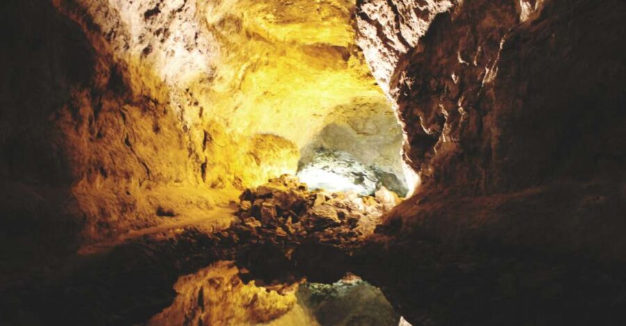 North Lanzarote: Cave, Jameos del Agua, and Viewpoint - Price and value: what $79 buys you (and what to budget for)