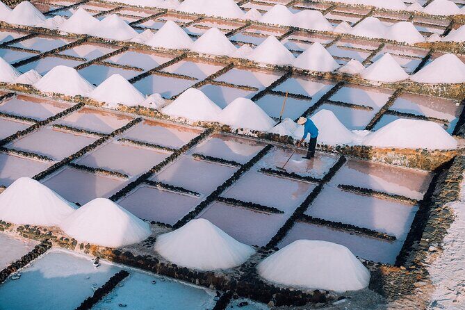 Private and Guided Tour to the Salinas de Janubio with Tasting - What you’ll notice in the salt pans: birds, colors, and wind