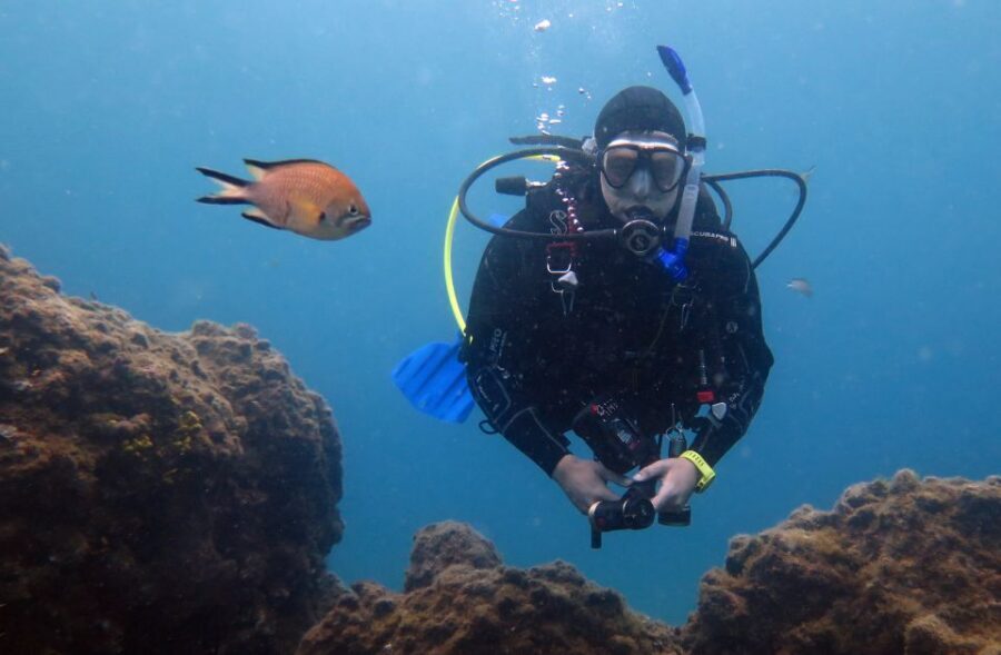 Puerto del Carmen: 2 Guided Scuba Dives (certified only) - Puerto del Carmen Underwater Plan: Why This One Feels Efficient