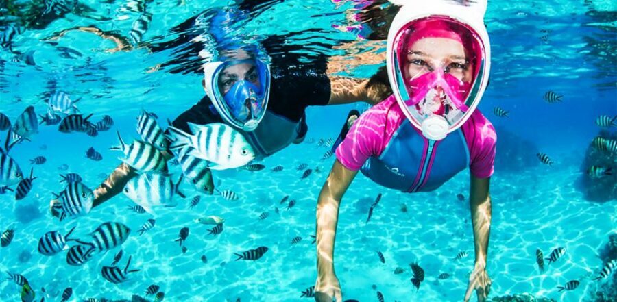 Puerto del Carmen: Dolphin-Watching Speedboat Tour with Swim - Quick hits for this Lanzarote speedboat tour