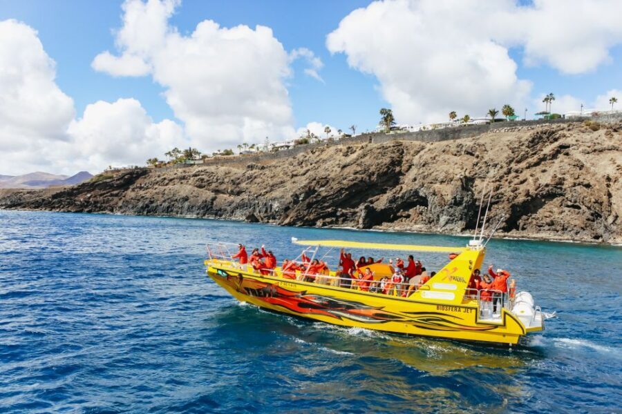 Puerto del Carmen: Dolphin-Watching Speedboat Tour with Swim - Should you book the Puerto del Carmen dolphin tour with swim?