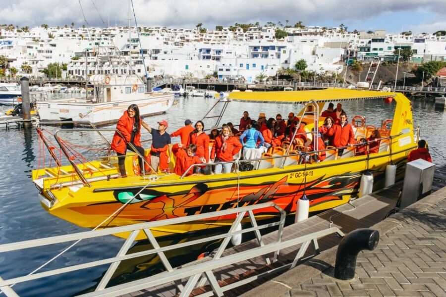 Puerto del Carmen: Dolphin-Watching Speedboat Tour with Swim - Dolphin and whale spotting: how the hunt works (and what to watch for)
