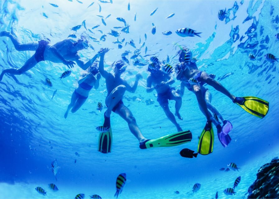Puerto del Carmen: Dolphin-Watching Speedboat Tour with Swim - What $41 buys you: value, not just a ticket price