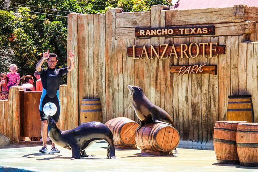 Puerto del Carmen: Rancho Texas Lanzarote Park Entry Ticket - Wild West meets real animal time: what you’ll actually see