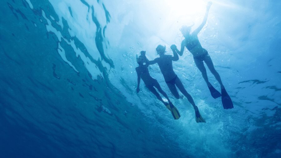 Puerto del Carmen: Snokel tour with an instructor - Gear, technique, and safety with a bright, patient guide