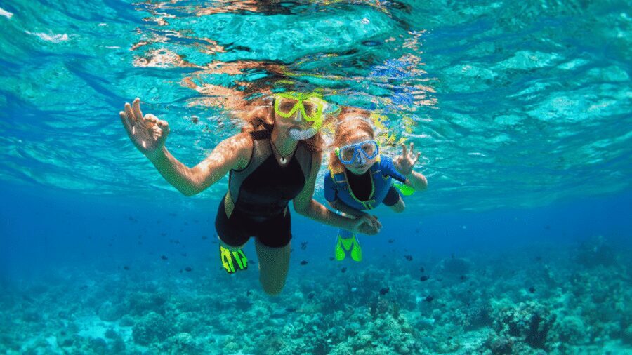 Puerto del Carmen: Snokel tour with an instructor - The 30-minute briefing: turning random sightings into real recognition