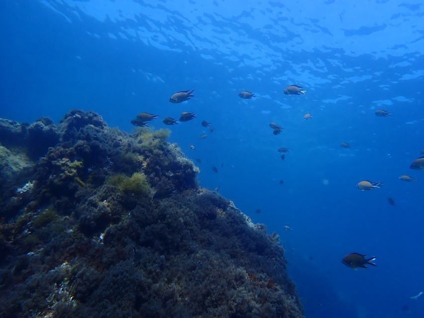 Puerto del Carmen: Snorkeling Trip with Dive Instructor - Who this trip fits best (and who should choose differently)