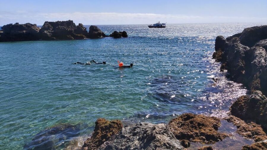 Puerto del Carmen: Snorkeling Trip with Dive Instructor - Once you’re in: what the one-hour guided swim actually feels like