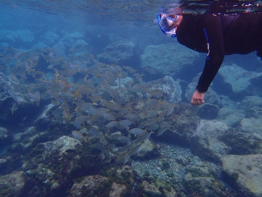 Puerto del Carmen: Snorkeling Trip with Dive Instructor - Timing and group size: why 2 hours doesn’t mean rush