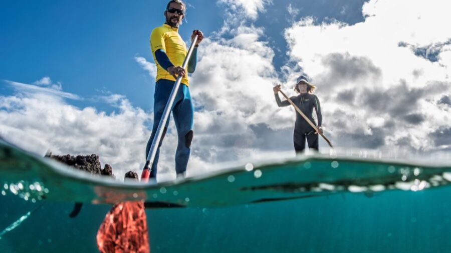 Puerto del Carmen: Stand Up Paddleboarding Class - Small Planning Tips That Make the Day Easier