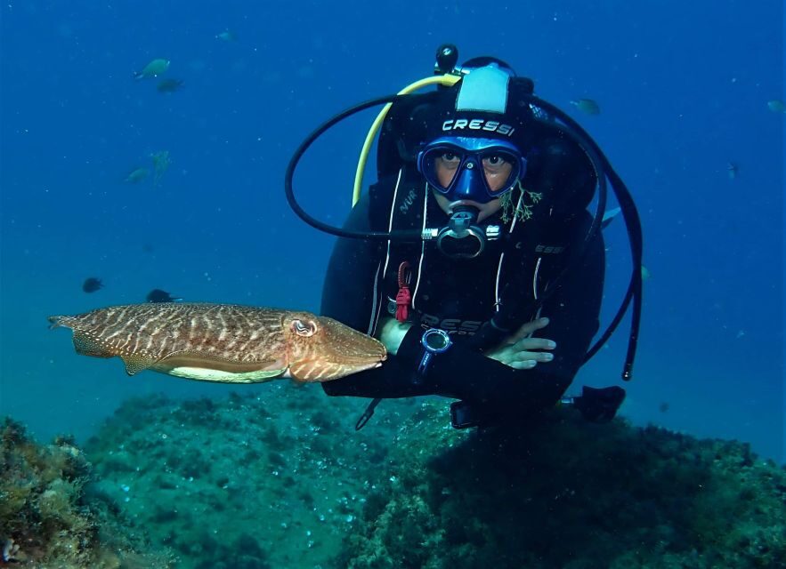 Puerto Del Carmen: Try Scuba Diving with 2 Dives and Photos - Playa Chica check-in: finding the Atlantis van and your gear boxes