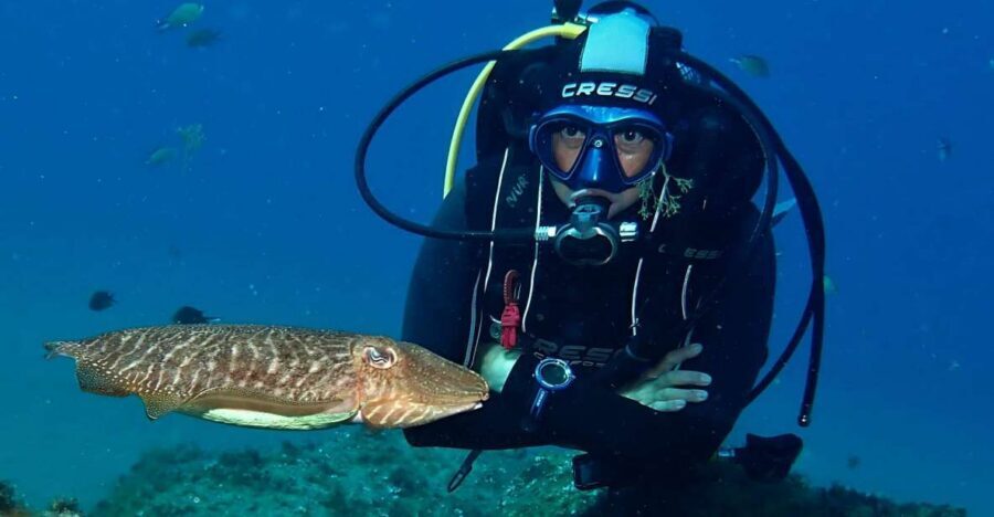 Puerto Del Carmen: Try Scuba Diving with 2 Dives and Photos - Instructor-led safety that actually makes sense (PADI/SSI style)