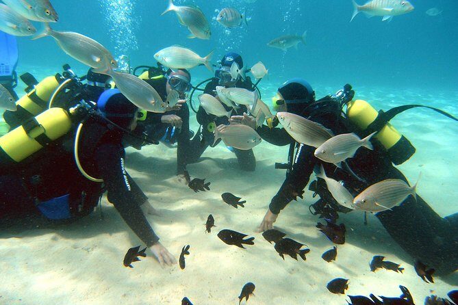 Scuba Diving (Basic Diver - 2 dives) - What This Beginner Scuba Course Actually Gives You