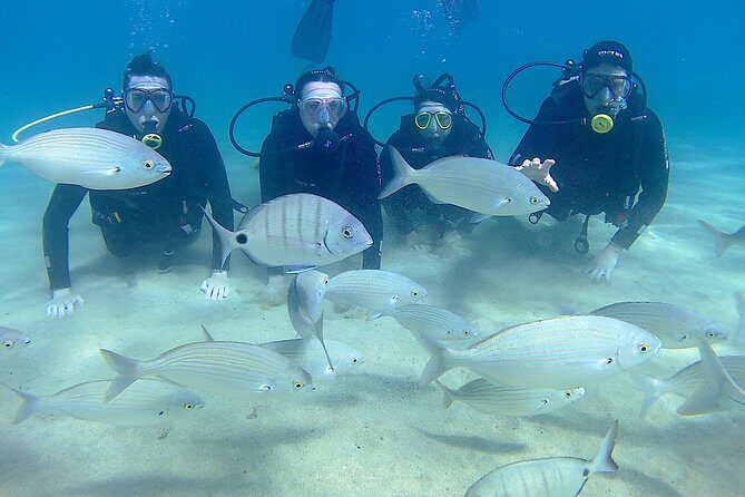 Scuba Diving (Basic Diver - 2 dives) - Open-Water Session in Lanzarote: Turning Skills into Experience
