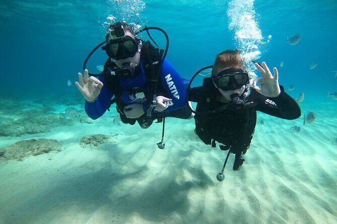 Scuba Diving (Basic Diver - 2 dives) - Who Should Book This Course—and Who Might Want More Time