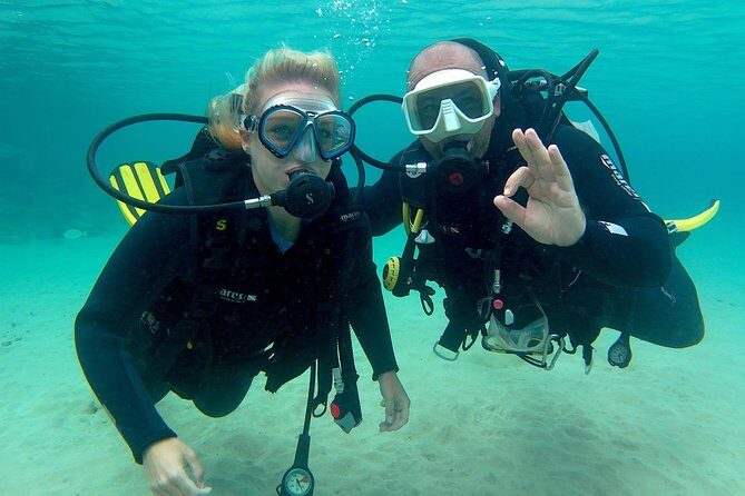 Scuba Diving (Basic Diver - 2 dives) - Getting to Fish Spa in Costa Teguise (and What to Expect)