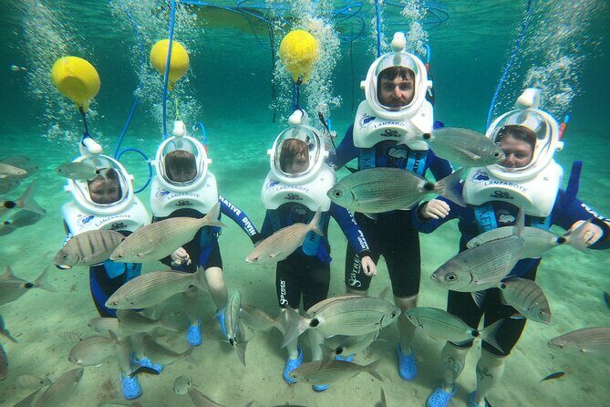 Sea Trek (exclusive in Lanzarote) - Sea Trek in Lanzarote: what you’re really doing