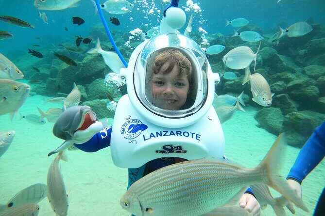 Sea Trek (exclusive in Lanzarote) - Marine life in Lanzarote: what to look for