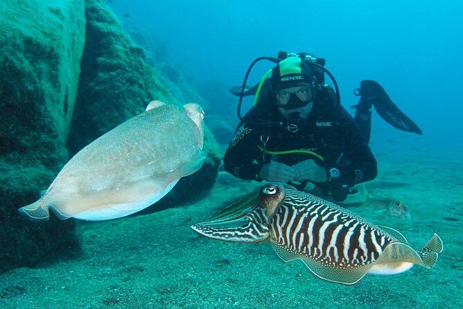 Single Dive for qualified divers from shore, region Puerto del Carmen. - Puerto del Carmen, with less fuss and more time on the water