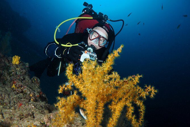 Single Dive for qualified divers from shore, region Puerto del Carmen. - Meeting at Euro-Divers Lanzarote: easy to find, easy to start