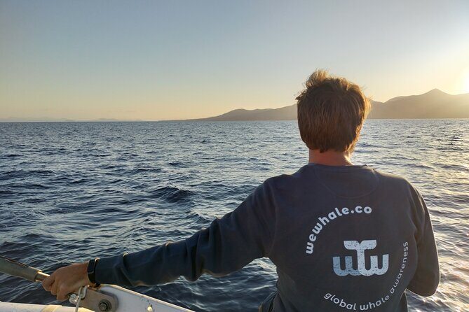 Small Group Dolphin Sunset Tour on Electric Catamaran Lanzarote - The dolphin and whale search: what “respectful” looks like