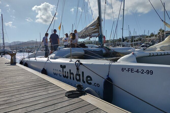 Small Group Dolphin Sunset Tour on Electric Catamaran Lanzarote - Should you book this Small Group Dolphin Sunset Tour on an Electric Catamaran?