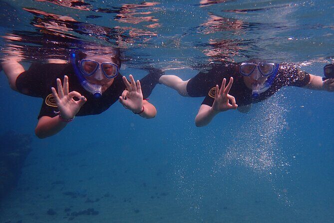 Snorkel in Lanzarote with Guide - Key things to know before you go
