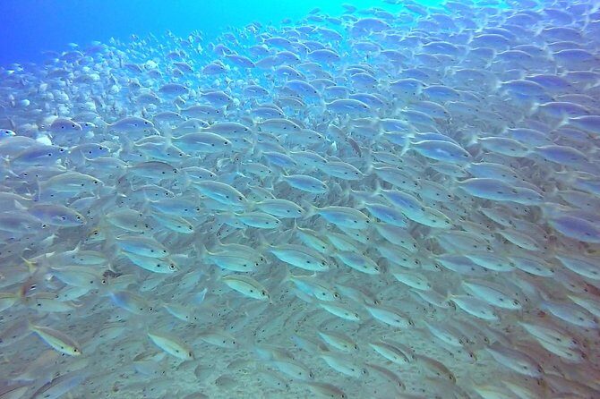 Snorkel in Lanzarote with Guide - The post-snorkel snack: a small detail with real payoff