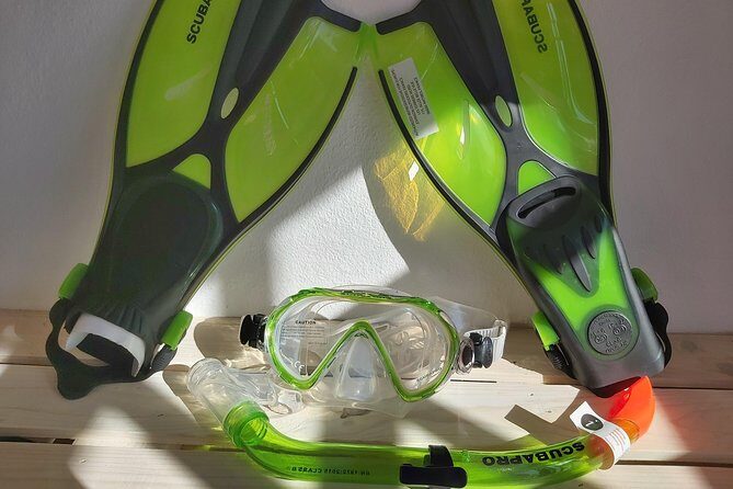 Snorkel in Lanzarote with Guide - Who this snorkel in Lanzarote fits best (and who might want to reconsider)