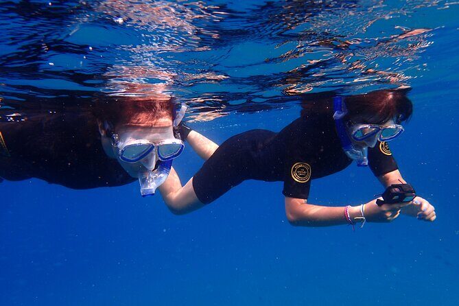 Snorkel in Lanzarote with Guide - Should you book this Lanzarote guided snorkel?