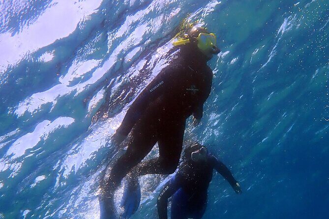 Snorkeling in Costa Teguise: 2-Hour Guided Tour in Lanzarote - Pickup and meeting point at Daivoon Center in Costa Teguise