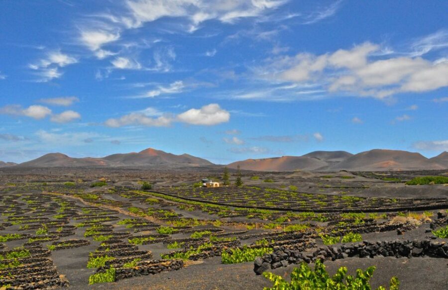 South Tour: Timanfaya National Park - Timanfaya National Park feels like another planet