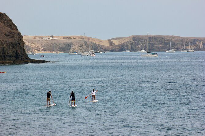 Stand Up Paddle Boarding Lesson in Playa Flamingo - Meeting Point and Timing: Plan for a Smooth Start