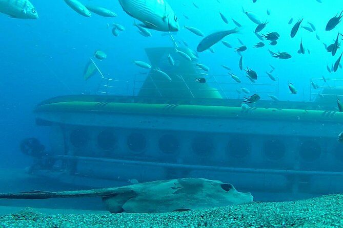 Submarine Safaris Lanzarote - Transfers From Costa Teguise, Puerto del Carmen, and Playa Blanca
