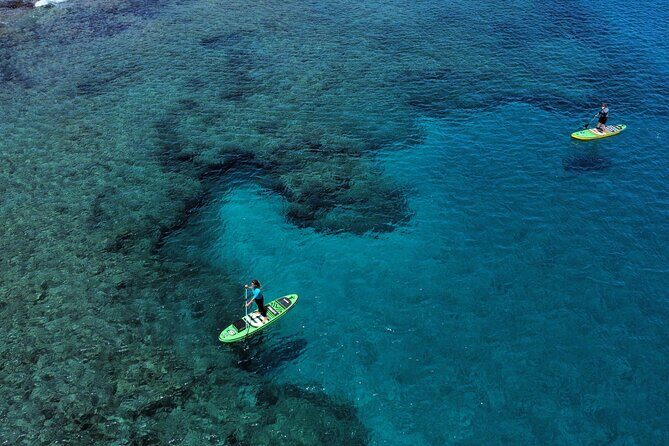 SUP Standup Paddling and Snorkeling Shared Experience - Key things that make this tour worth your time