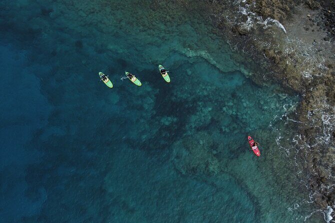 SUP Standup Paddling and Snorkeling Shared Experience - The snorkeling part: reef views, fish spotting tips, and safe entry