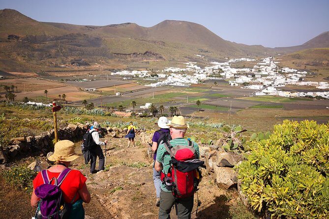 The Northern Cliffs & Valleys hiking tour - Getting Picked Up in Lanzarote Without Wasting Your Morning