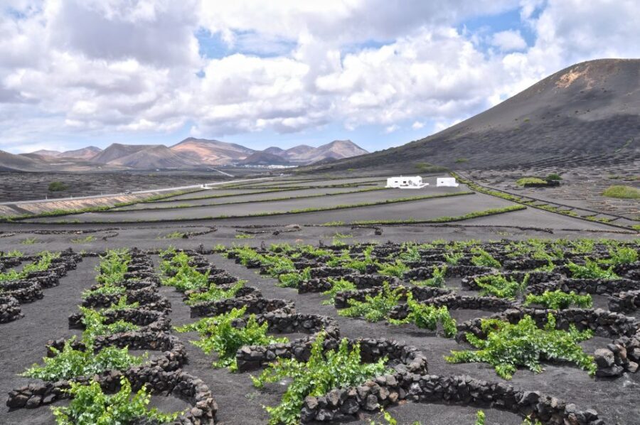 Timanfaya And El Golfo For Cruise Passengers (Mornings) - What you’re really getting for $66 from a cruise morning