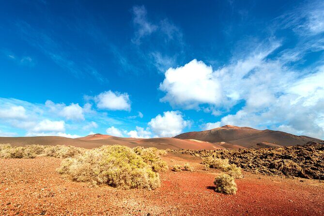 Timanfaya & Lanzarote Volcano Experience - Optional Castor of Camels: Fun Break, Extra Cost