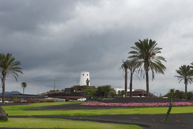 Timanfaya & Lanzarote Volcano Experience - La Geria Wine Area: Why Vines Grow in Holes